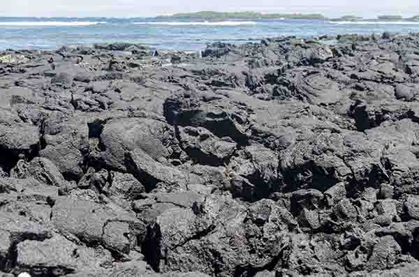 128 - Ecuador - islas Galapagos - islote Las Tintoreras